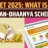 Pradhan Mantri Dhan - Dhaanya Krishi Yojana: किसानों के लिए संजीवनी बूटी
